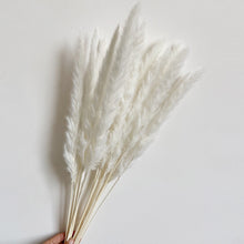 Load image into Gallery viewer, Luxury Pampas Grass
